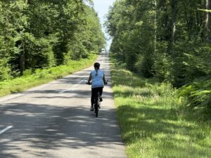 L’appel de la forêt de Tronçais