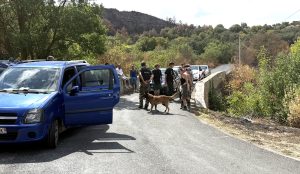 Rave-party de la honte à Fontjoncouse. les gendarmes ont bouclé le massif pour interdire les arrivées de teufeurs supplémentaires et filtré et les partants